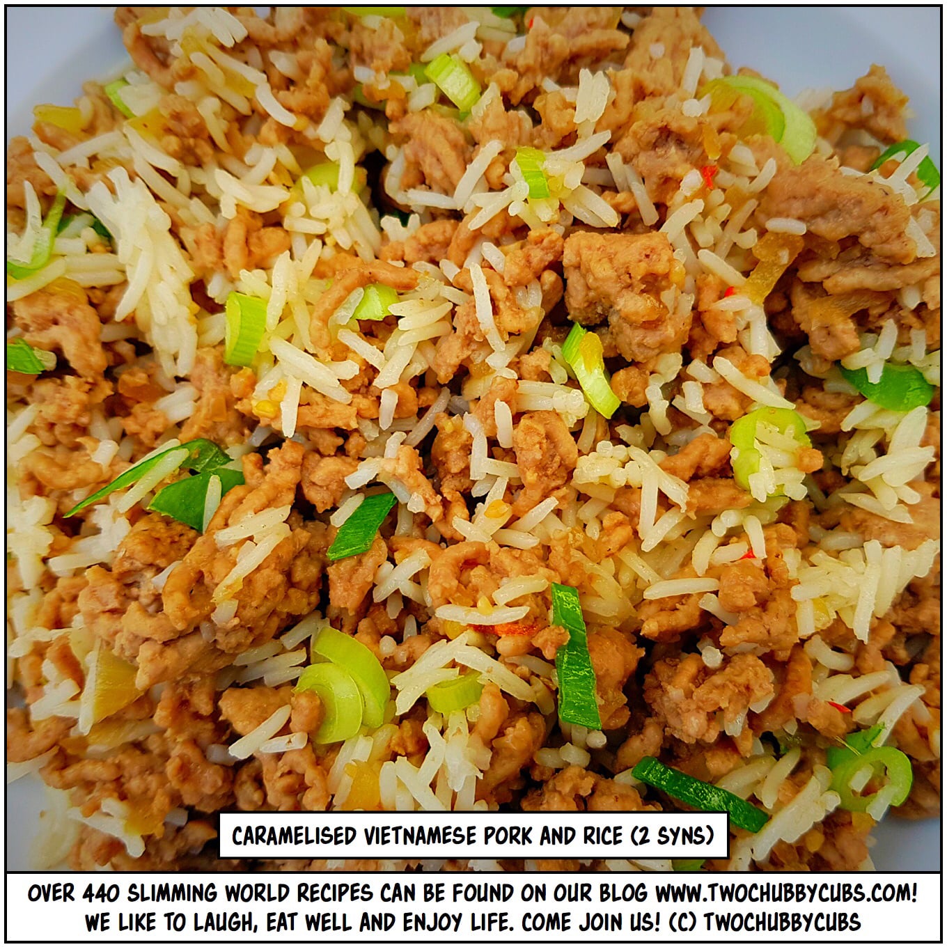 TWO SYN CARAMELISED PORK AND RICE | Slimming World | twochubbycubs